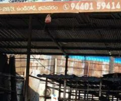 VINAYAKA TRADERS