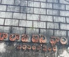 Balaji ice plant