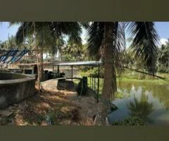 REVATHI FISH HATCHERY