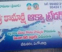 sri kamakshi aqua traders
