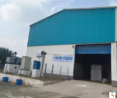Nova feeds