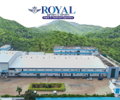 Royal Imports and Exports need for 80 count