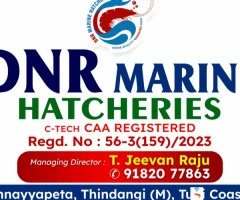 DNR MARINE HATCHERIES