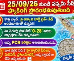 CJR MARINE HATCHERIES