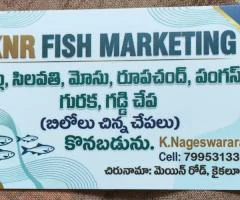 “బిలో సైజ్ చేపలు కొనబడును”