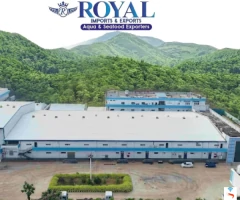Royal Imports and Exports need for 50 - 60 count vannamei