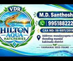 HILTON AQUA HATCHERIES  offers