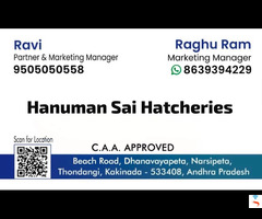 Hanuman Sai Hatcheries