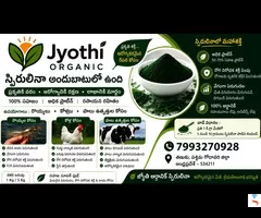 Spirulina