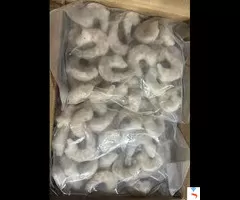 IQF Shrimp for Sale – Bulk Buyers