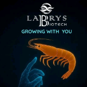 mallibabu billa billa