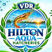 hilton aqua hatcheries
