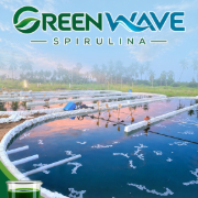 Green wave spirulina